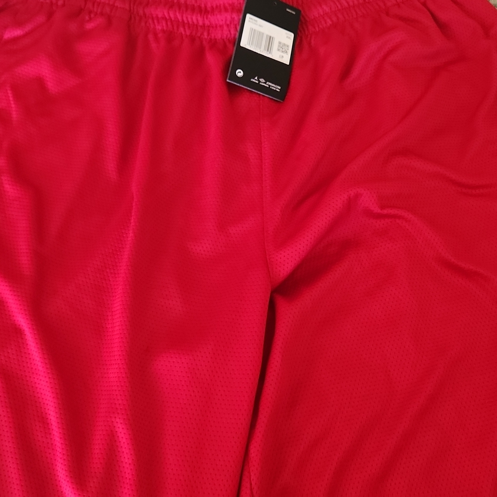 Nikes Air Jordans Activewear shorts
